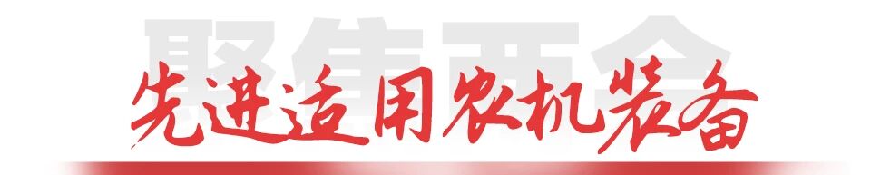 S36沙龙会 - 要玩就玩沙龙会