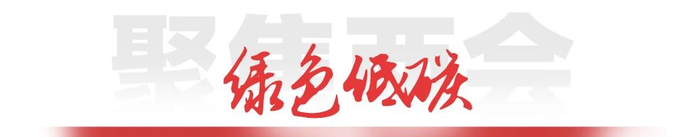 S36沙龙会 - 要玩就玩沙龙会