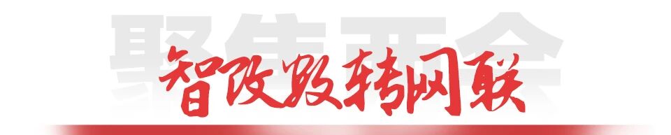 S36沙龙会 - 要玩就玩沙龙会